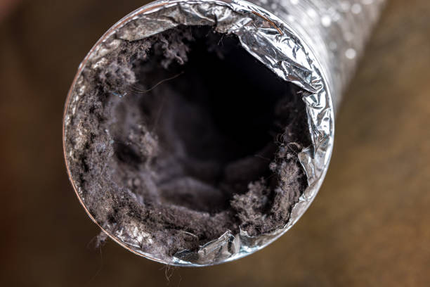 Best Local Air Duct Cleaning Services  in Marco Island, FL